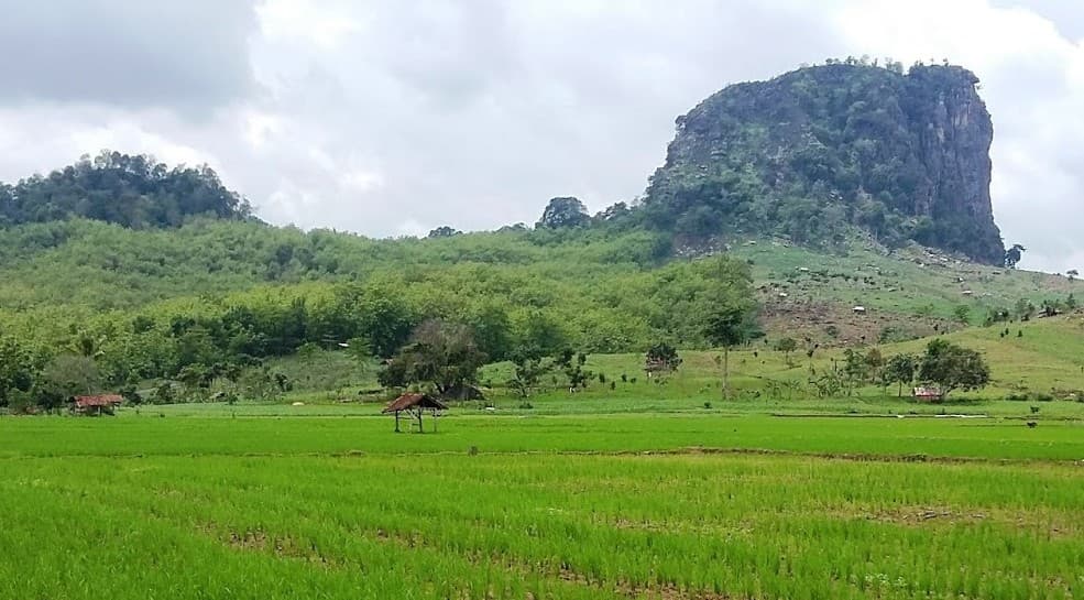 Misteri & Pesona Gunung Gajah: Bukit Batu Eksotis di Jantung Pemalang Misteri & Pesona Gunung Gajah: Bukit Batu Eksotis di Jantung Pemalang