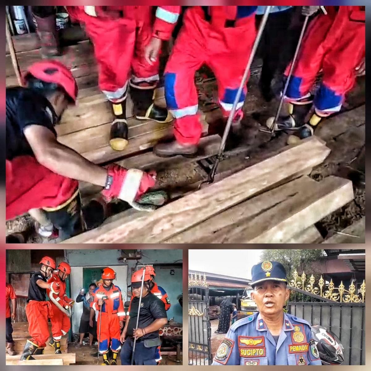 Damkar Evakuasi Ular Piton Sepanjang 1,5 Meter yang bersembunyi di Tumpukan kayu Damkar Evakuasi Ular Piton Sepanjang 1,5 Meter yang bersembunyi di Tumpukan kayu