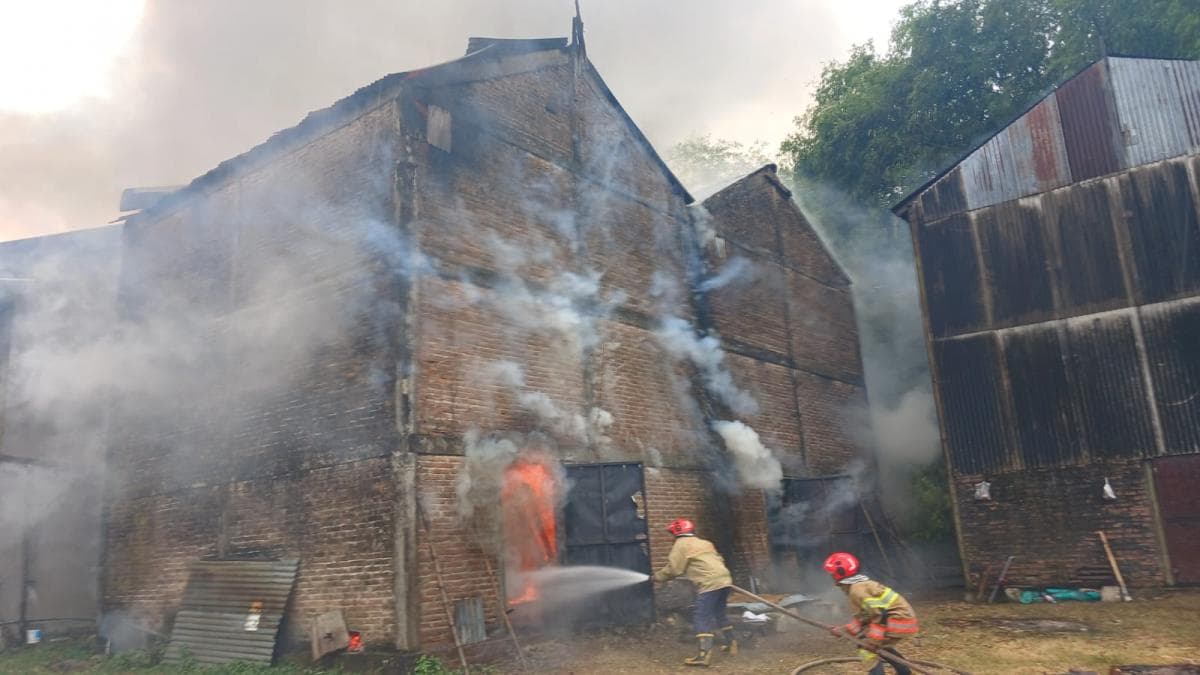 Kebakaran Open Tembakau di Bojonegoro, 8 Ton Tembakau Kering Dilalap Api Kebakaran Open Tembakau di Bojonegoro, 8 Ton Tembakau Kering Dilalap Api