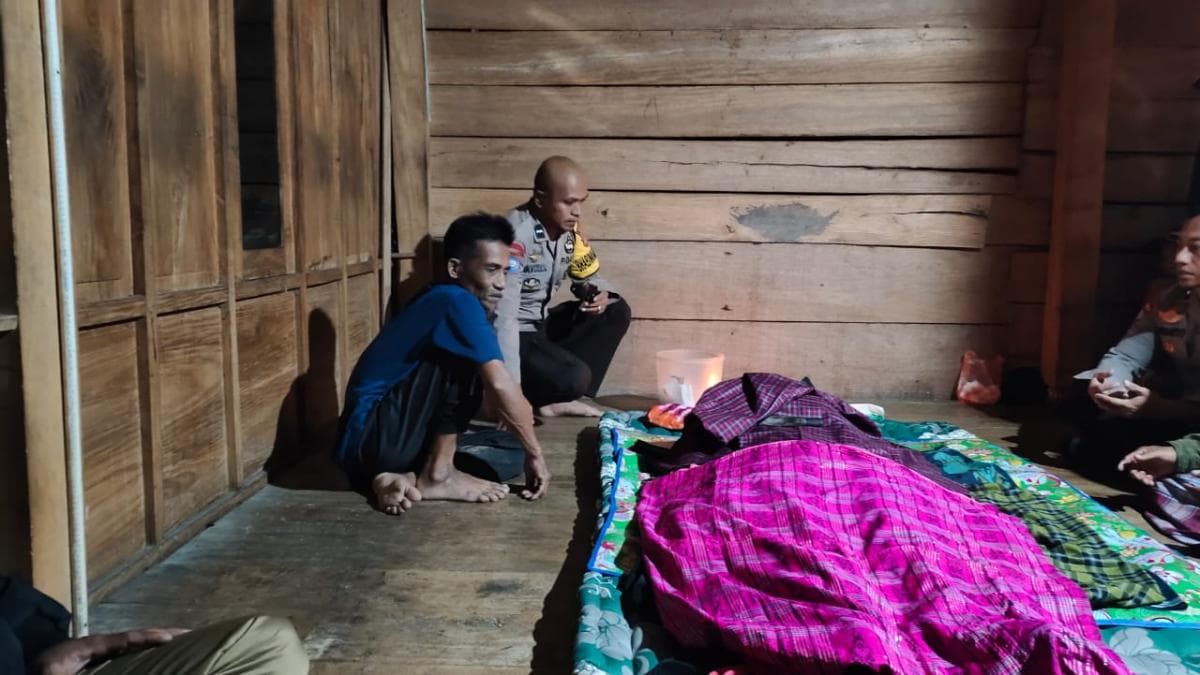 Kecelakaan Maut Tunggal di Tammewaru, Pemuda 24 Tahun Tewas di TKP Kecelakaan Maut Tunggal di Tammewaru, Pemuda 24 Tahun Tewas di TKP