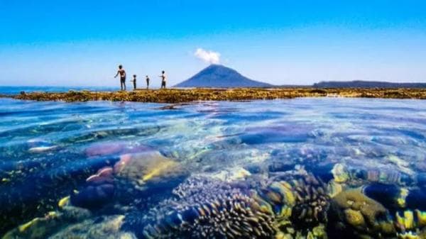 Tidak Mahal, Estimasi Biaya Snorkeling di Bunaken di Luar Dugaan Tidak Mahal, Estimasi Biaya Snorkeling di Bunaken di Luar Dugaan