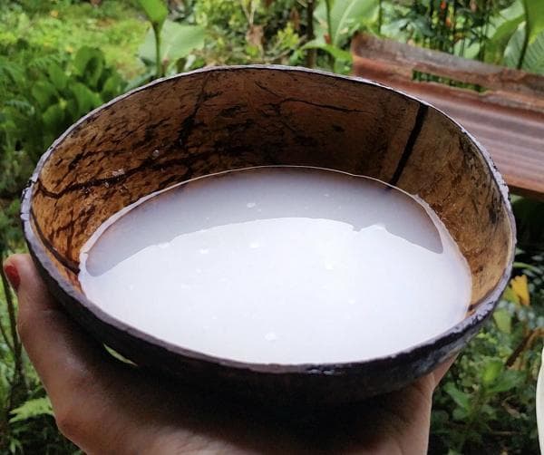 2 Minuman Khas Manado, No 1 Dijual hingga ke Luar Negeri 2 Minuman Khas Manado, No 1 Dijual hingga ke Luar Negeri