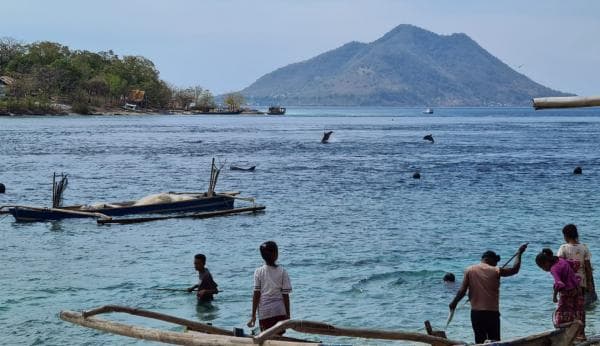 Unik, Festival Aladin Alor Kecil, Sensasi Merasakan Air Laut Dingin dan Melihat Kawanan Lumba Lumba Unik, Festival Aladin Alor Kecil, Sensasi Merasakan Air Laut Dingin dan Melihat Kawanan Lumba Lumba