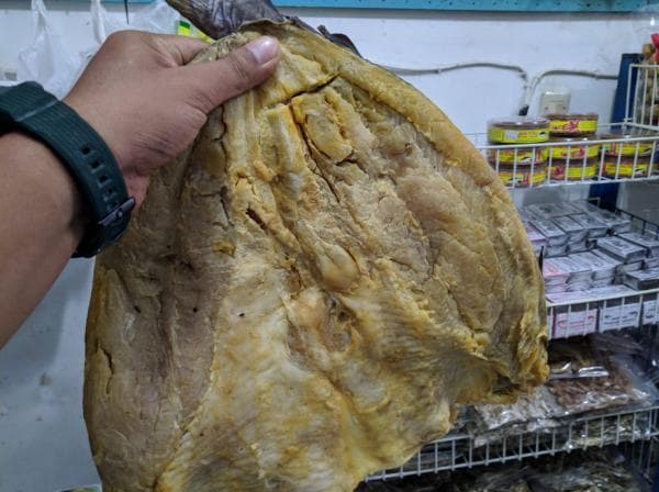 Ikan Asin Jambal Roti Khas Pangandaran, Banyak Diburu Wisatawan Untuk Dijadikan Oleh-oleh Ikan Asin Jambal Roti Khas Pangandaran, Banyak Diburu Wisatawan Untuk Dijadikan Oleh-oleh