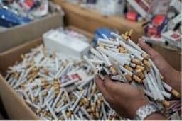 Rokok Ilegal Murah dan Rusak Harga Pasar, Petani Tembakau di Sumedang Menjerit