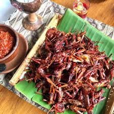 Belalang Goreng, Makanan Ekstrim dari Gunung Kidul Belalang Goreng, Makanan Ekstrim dari Gunung Kidul