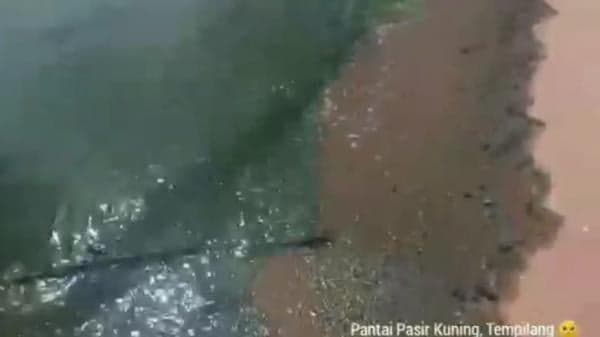 Air Laut di Pantai Pasir Kuning Bangka Barat Berubah Warna, Diduga Tercemar Air Laut di Pantai Pasir Kuning Bangka Barat Berubah Warna, Diduga Tercemar