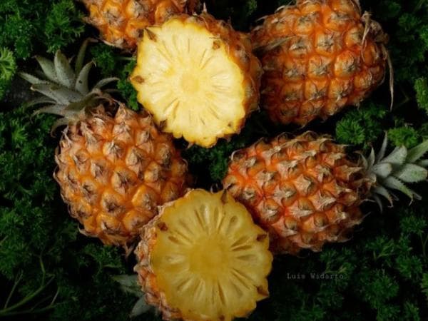 Bukan Hanya Pemalang, 3 Daerah Ini Juga Penghasil Buah Nanas Terbesar di Indonesia! Bukan Hanya Pemalang, 3 Daerah Ini Juga Penghasil Buah Nanas Terbesar di Indonesia!