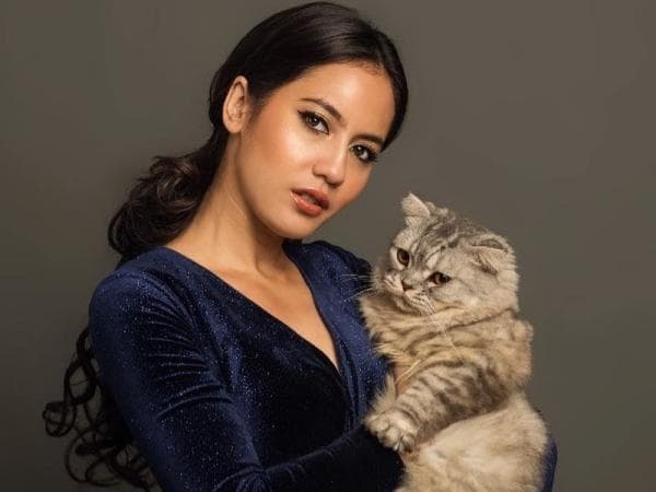 5 Artis Indonesia Pencinta Kucing yang Lucu, Salah Satunya Nagita Slavina 5 Artis Indonesia Pencinta Kucing yang Lucu, Salah Satunya Nagita Slavina