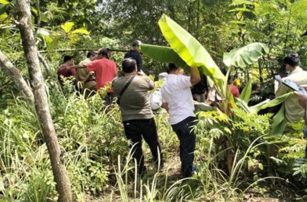 Munculnya Macan Loreng Membuat Warga Setempat Geger Munculnya Macan Loreng Membuat Warga Setempat Geger