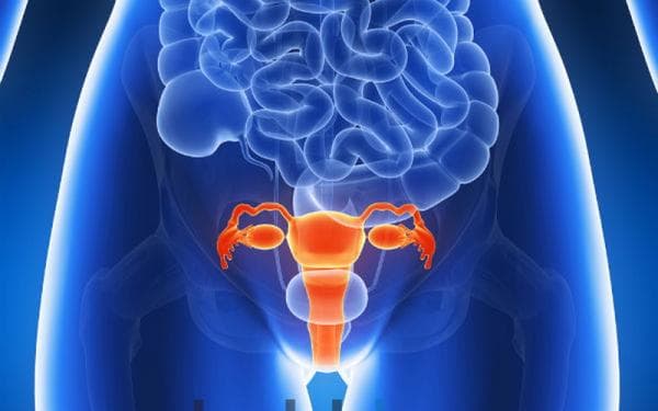 Waspada, Begini 8 Ciri-ciri Kista Ovarium Beserta Gejalanya Waspada, Begini 8 Ciri-ciri Kista Ovarium Beserta Gejalanya