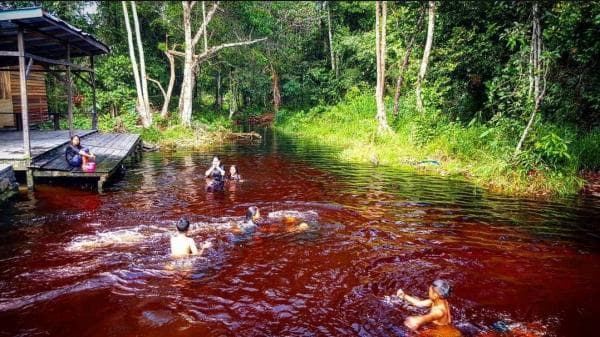 Pesona Keindahan dan Keasrian Sungai Merah di Kalimantan Tengah, Disakralkan Suku Dayak Pesona Keindahan dan Keasrian Sungai Merah di Kalimantan Tengah, Disakralkan Suku Dayak
