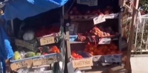 Potret Warung Sayur Kejujuran di Jepang, Dagangan hingga Uang Tidak Ada yang Hilang Potret Warung Sayur Kejujuran di Jepang, Dagangan hingga Uang Tidak Ada yang Hilang