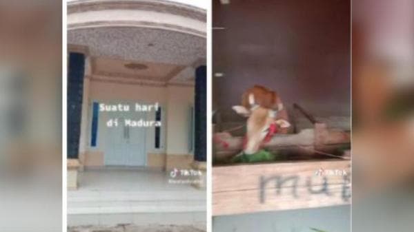 Viral! Sultan Madura Bangun Kandang Sapi Seharga Rp6 Miliar Viral! Sultan Madura Bangun Kandang Sapi Seharga Rp6 Miliar