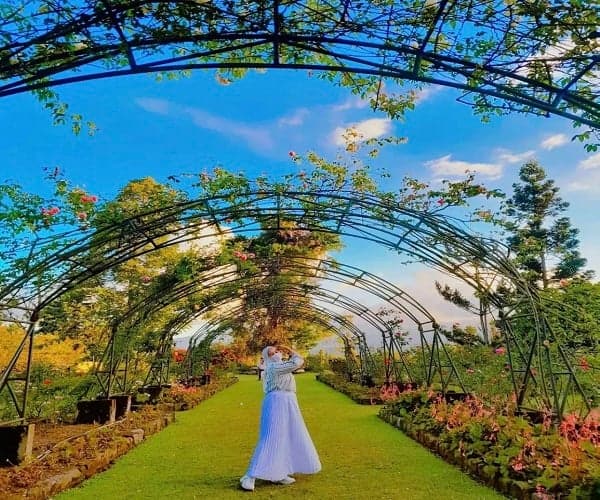 Liburan Akhir Pekan di Garut, Yuk Kunjungi Wisata Alam Kebun Mawar Situhapa Liburan Akhir Pekan di Garut, Yuk Kunjungi Wisata Alam Kebun Mawar Situhapa
