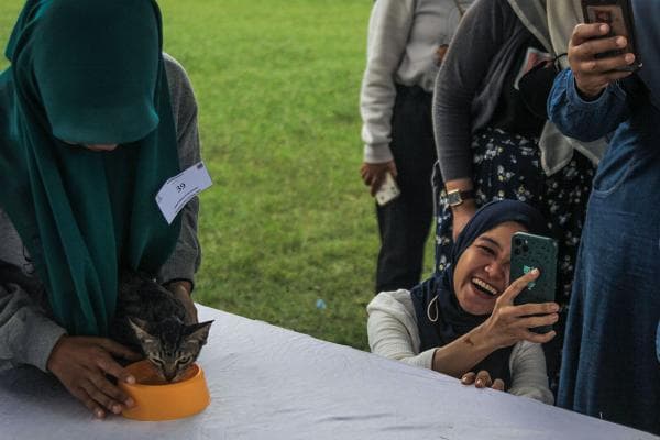 Aksi Ayam, Kucing, dan Anjing di Palembang Pets Festival 2023 Aksi Ayam, Kucing, dan Anjing di Palembang Pets Festival 2023