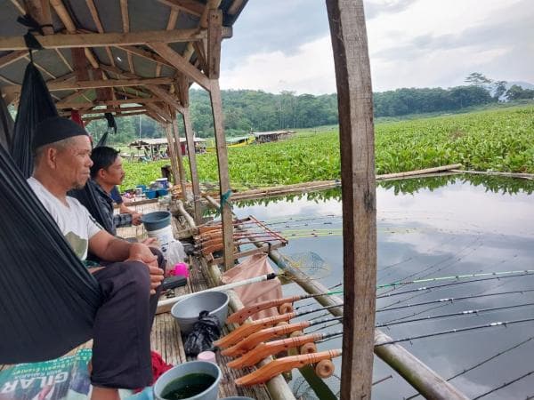 Nikmati Suasana Mancing di Jangari Nyambi Wisata Nikmati Suasana Mancing di Jangari Nyambi Wisata