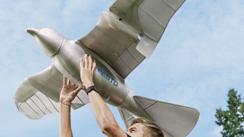 Terinspirasi dari Burung Mati, Seorang Ilmuan Islam Ciptakan Drone Canggih Berbentuk Burung Terinspirasi dari Burung Mati, Seorang Ilmuan Islam Ciptakan Drone Canggih Berbentuk Burung