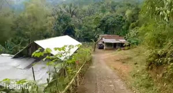 Desa Unik di Banyumas, Indah tapi Tersembunyi di Bawah Lembah, seperti Ini Suasananya! Desa Unik di Banyumas, Indah tapi Tersembunyi di Bawah Lembah, seperti Ini Suasananya!