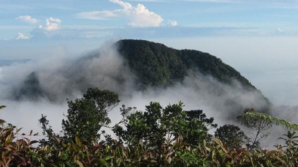 Misteri Gunung Salak Bogor, Mitos Kerajaan Gaib Padjajaran Berdiri Kokoh di Puncak Misteri Gunung Salak Bogor, Mitos Kerajaan Gaib Padjajaran Berdiri Kokoh di Puncak