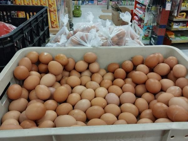 Telur Ayam Broiler Naik, Diskuperindagin Cianjur Harga Masih Stabil Telur Ayam Broiler Naik, Diskuperindagin Cianjur Harga Masih Stabil
