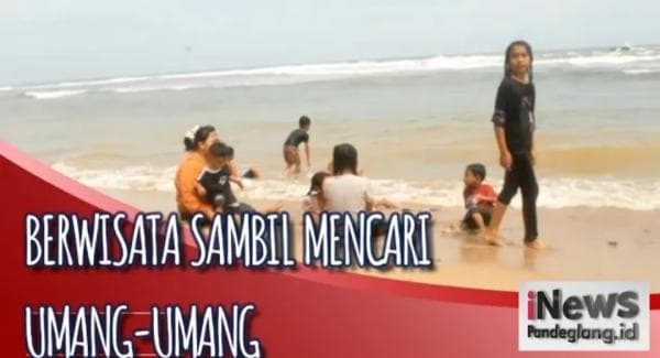 Intip Serunya Berwisata Sambil Mencari Umang-umang di Pantai Intip Serunya Berwisata Sambil Mencari Umang-umang di Pantai