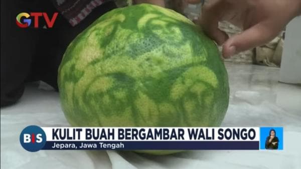 Masyaallah, Jeruk Bali di Jepara Jawa Tengah Bergambar 5 Tokoh Wali Songo dan Wangi Bunga Kenanga Masyaallah, Jeruk Bali di Jepara Jawa Tengah Bergambar 5 Tokoh Wali Songo dan Wangi Bunga Kenanga
