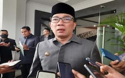 Begini Cara Ridwan Kamil Tangani Kasus Raja Singa Terbesar Kedua di Indonesia