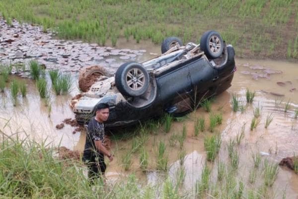 Hilang Kendali, Mobil Kadis Perhubungan Sulbar Terjun Sawah di Jalan Poros Mamasa-Mamuju