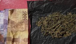 Gak Kapok-kapok Residivis Kasus Narkoba Ditangkap Polres Madina