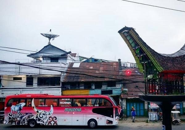 Dirikan PO Primadona untuk Majukan Kampung Halaman di Toraja, Inilah Kisahnya Dirikan PO Primadona untuk Majukan Kampung Halaman di Toraja, Inilah Kisahnya