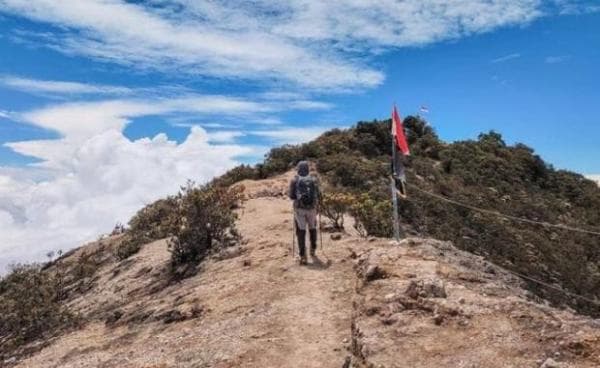 Mahasiswi Undip Tewas saat Mendaki Gunung Lawu, Begini Kronologinya Mahasiswi Undip Tewas saat Mendaki Gunung Lawu, Begini Kronologinya