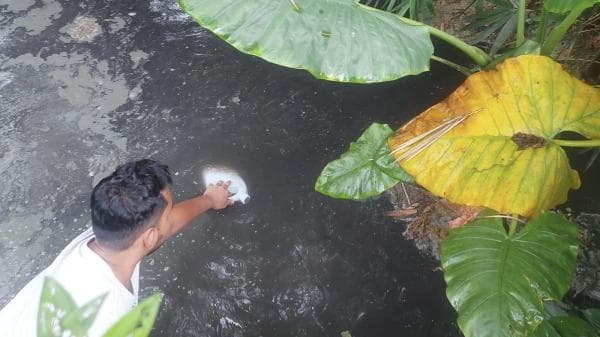 Perusahaan Sabun di Patumbak Dilaporkan ke Polda Sumut, Diduga Cemari Lingkungan Perusahaan Sabun di Patumbak Dilaporkan ke Polda Sumut, Diduga Cemari Lingkungan