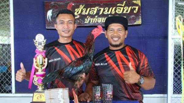 Beli Phakoy Manop Rp 663,6 Juta, Tim MDN Aceh Ukir Sejarah Beli Phakoy Manop Rp 663,6 Juta, Tim MDN Aceh Ukir Sejarah