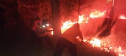 Kebakaran Hutan: Mengaktifkan Kesadaran Masyarakat di Babel bagi Lingkungan Melalui Aksi Perubahan