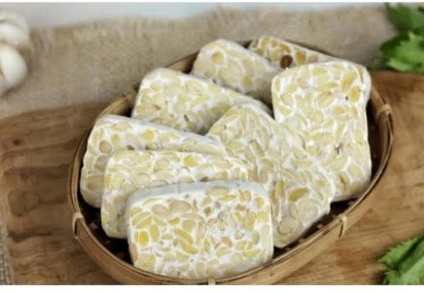 Tempe Makanan Tradisional Terenak di Dunia Asli Indonesia Tempe Makanan Tradisional Terenak di Dunia Asli Indonesia