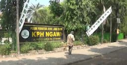 Dua Pegawai KPH Ngawi Ditangkap Polda Metro Jaya karena Kepemilikan Sejata Ilegal
