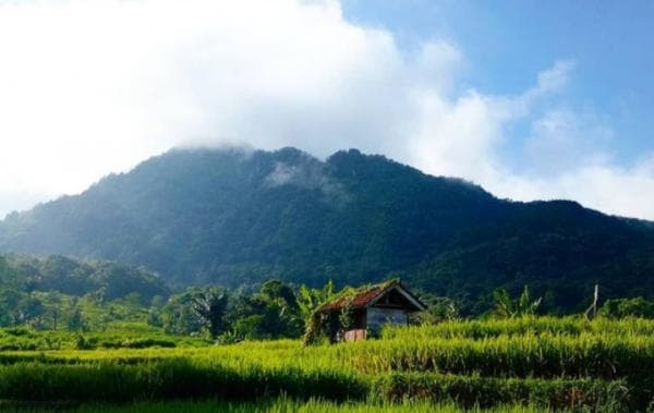 Kisah Mistis Gunung Subang, Kabut Gaib Sesatkan Pendaki Kisah Mistis Gunung Subang, Kabut Gaib Sesatkan Pendaki