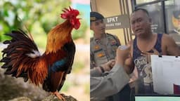 Viral Pria Bertubuh Kekar Nangis Histeris di Kantor Polisi Lapor Ayam Hilang, Ini Kata Kapolres Tebo