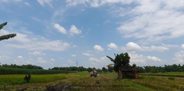 Prakiraan Cuaca Hari Ini untuk Wilayah Tasikmalaya dan Sekitarnya, Rabu 20 September 2023 Prakiraan Cuaca Hari Ini untuk Wilayah Tasikmalaya dan Sekitarnya, Rabu 20 September 2023