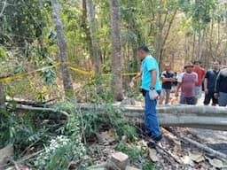 Tragis, Seorang Pria di Karangrayung Grobogan Meninggal Tertimpa Pohon Yang Ditebang