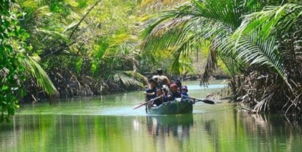 Ujung Kulon Kampung Unik dan Menakjubkan, Mirip Sungai Amazon Ujung Kulon Kampung Unik dan Menakjubkan, Mirip Sungai Amazon