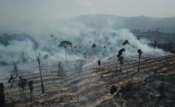 Kebakaran di Tebo Berhasil Dipadamkan Tim Satgas Karhutla