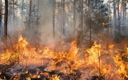 Pemadaman Manual, Kebakaran Semalam Gunung Kacapi Sumedang Hanguskan 6 Hektare Lahan