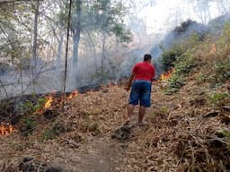 Kebakaran Hutan Terjadi di Lereng Gunung Budheg