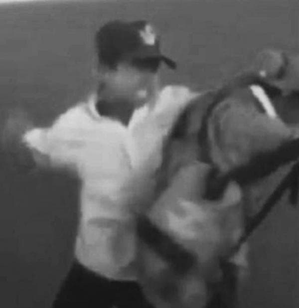 Viral! Aksi Perundungan Pelajar SMP oleh Kakak Kelas hingga Dipukuli Secara Brutal Viral! Aksi Perundungan Pelajar SMP oleh Kakak Kelas hingga Dipukuli Secara Brutal