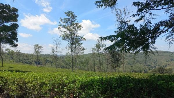 Prakiraan Cuaca Hari Ini untuk Wilayah Tasikmalaya dan Sekitarnya, Selasa 3 Oktober 2023 Prakiraan Cuaca Hari Ini untuk Wilayah Tasikmalaya dan Sekitarnya, Selasa 3 Oktober 2023