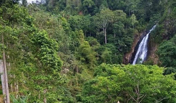 Curug Kanteh, Air Terjun di Pedalaman Lebak Banten yang Wajib Dijelajahi Curug Kanteh, Air Terjun di Pedalaman Lebak Banten yang Wajib Dijelajahi