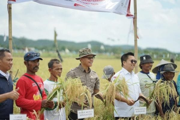 Jadi Penyuplai Bahan Pangan Terbesar Kaltim, Samsun: Kukar di Puncak Prestasi Jadi Penyuplai Bahan Pangan Terbesar Kaltim, Samsun: Kukar di Puncak Prestasi