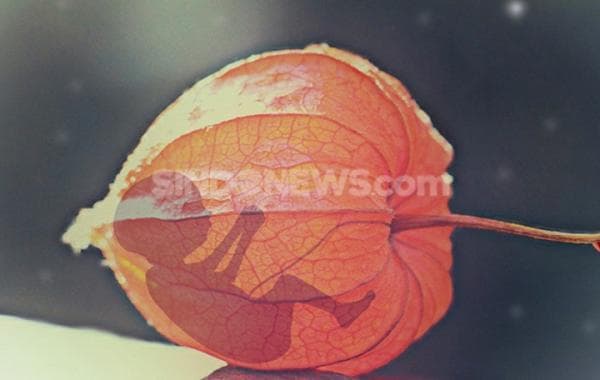 Viral di Sosial Media, Foto Bayi Mungil Yang Diduga Sengaja Ditinggalkan oleh Orang tuanya Viral di Sosial Media, Foto Bayi Mungil Yang Diduga Sengaja Ditinggalkan oleh Orang tuanya